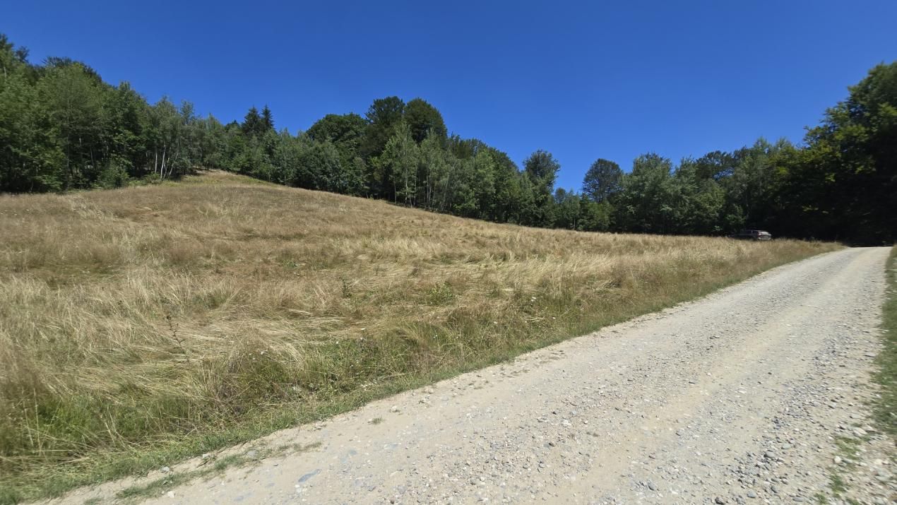 Teren de vânzare în Central, Poiana Marului – fotografia 5 din 9