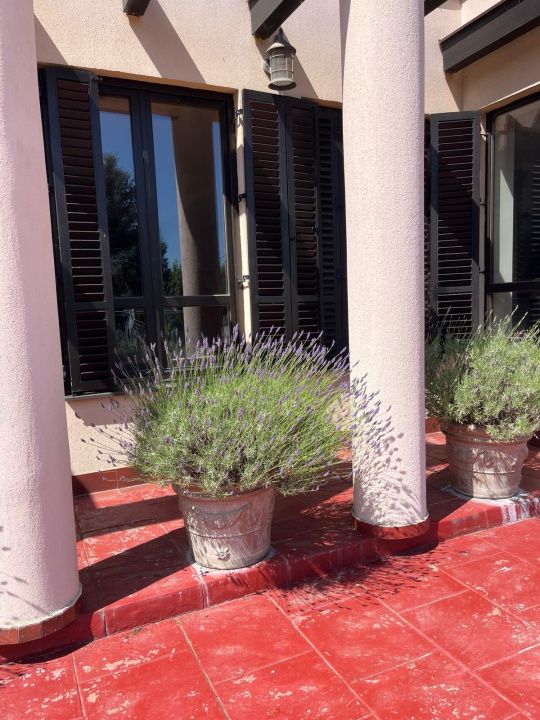 Casă cu 13 camere de vânzare în Exterior Est, Crevedia – fotografia 43 din 54