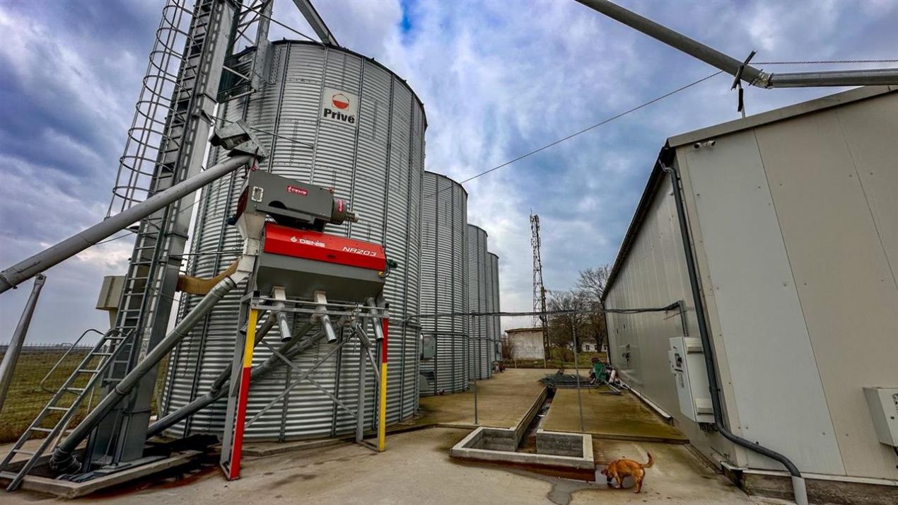 Spațiu industrial cu 3 camere de vânzare în Petresti – fotografia 3 din 13