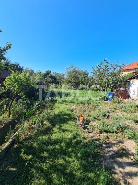 Casă cu 8 camere de vânzare în Sebeș – fotografia 18 din 20