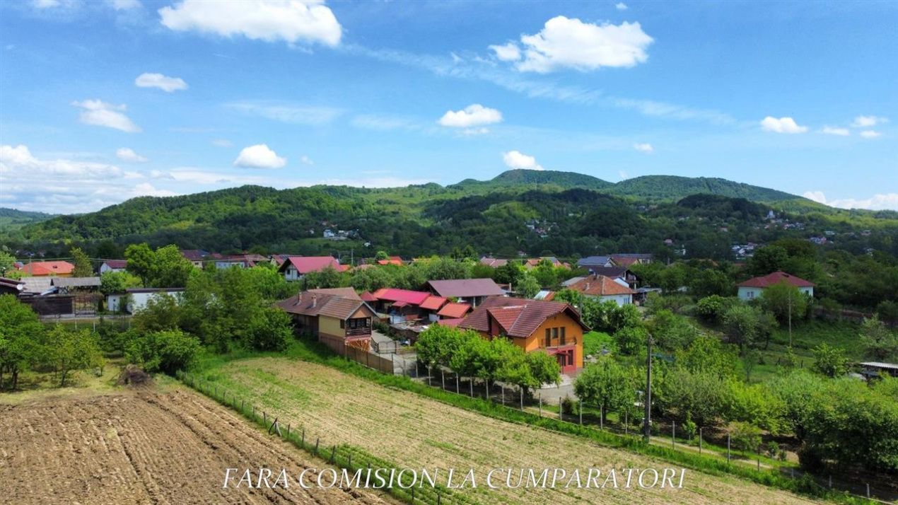 Teren de vânzare în Vest, Pausesti-Maglasi – fotografia 10 din 13