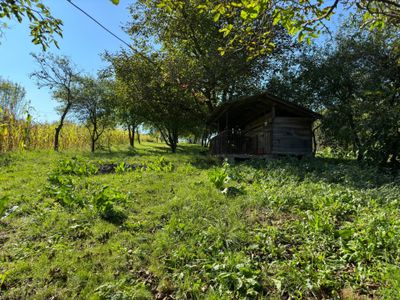 Casă cu 4 camere de vânzare în Exterior Sud, Jucu de Sus – fotografia 4 din 8