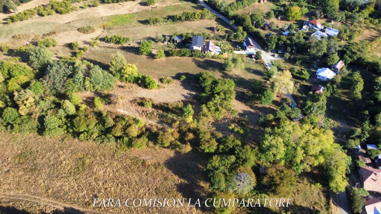 Teren de vânzare în Nord, Vladesti – fotografia 7 din 17