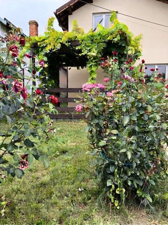 Casă cu 5 camere de vânzare în Central, Slobozia Moara – fotografia 6 din 12