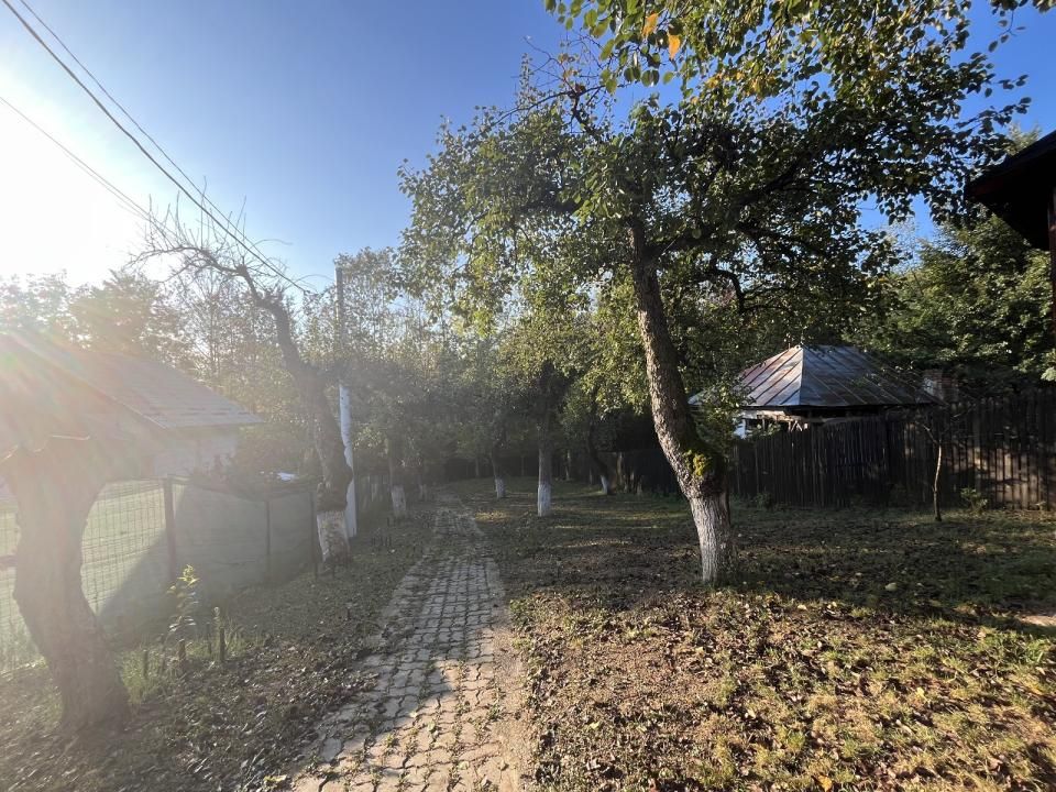 Casă cu 4 camere de vânzare în Central, Magura (Hulubesti) – fotografia 36 din 41