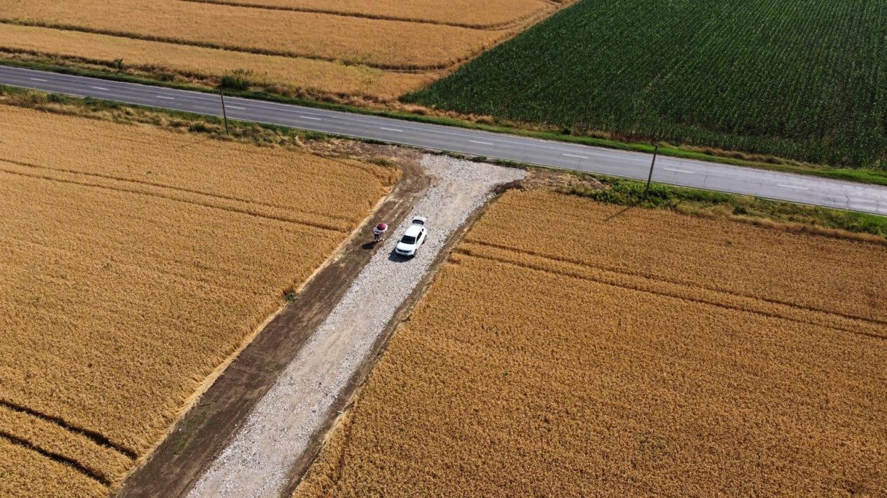 Teren de vânzare în Berceni – fotografia 6 din 9