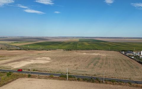 Teren de vânzare în Sud, Tulucesti