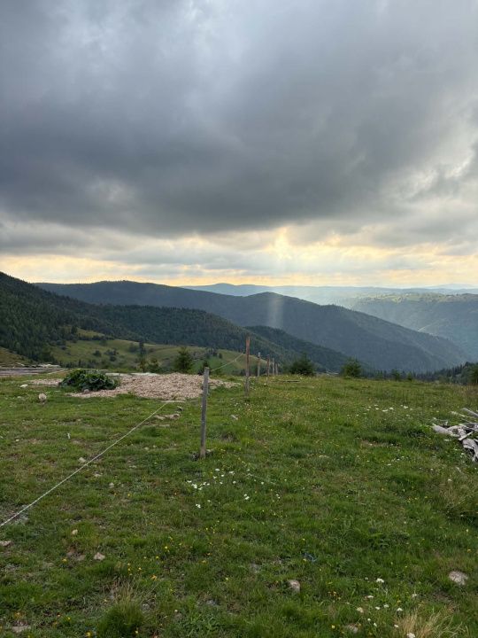 Teren de vânzare în Central, Maguri-Racatau – fotografia 4 din 6
