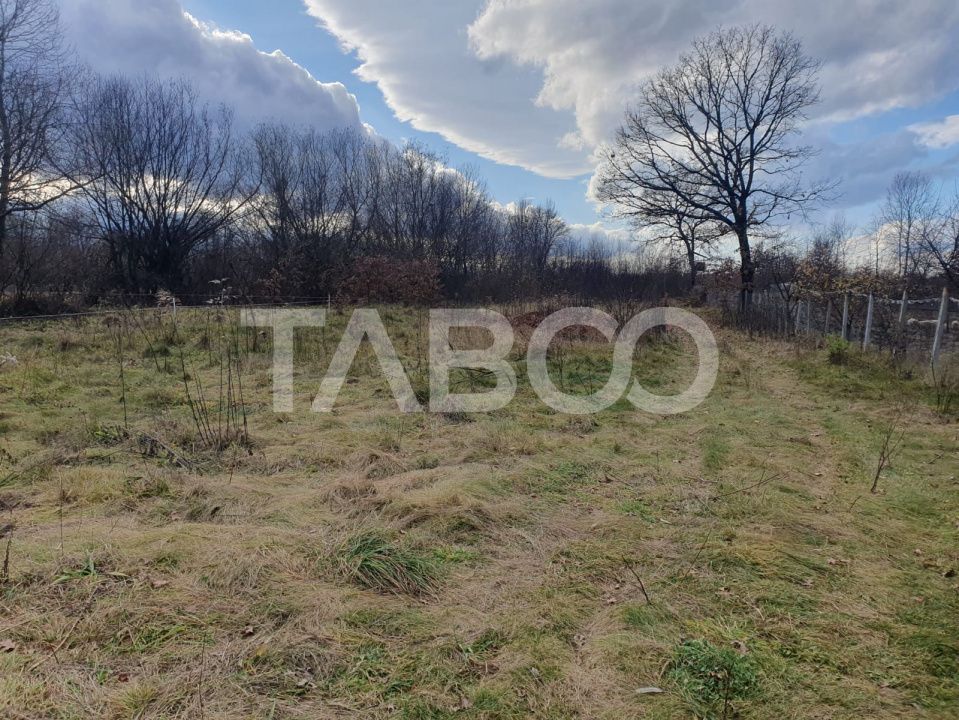 Teren de vânzare în Savastreni – fotografia 2 din 3
