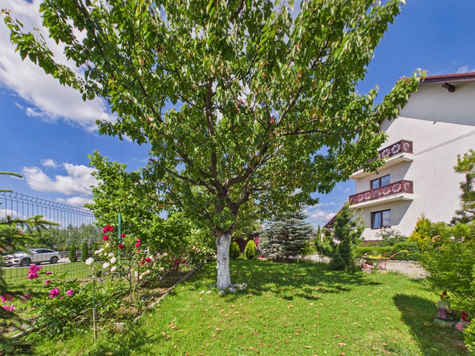 Casă cu 10 camere de vânzare în Tohanu Nou – fotografia 43 din 46
