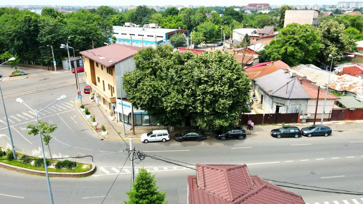 Casă cu 7 camere de vânzare în Pieptanari, București – fotografia 56 din 60