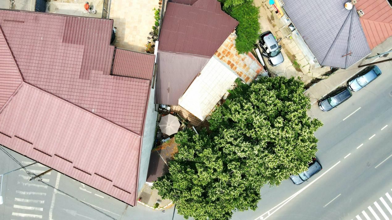 Casă cu 7 camere de vânzare în Pieptanari, București – fotografia 55 din 60