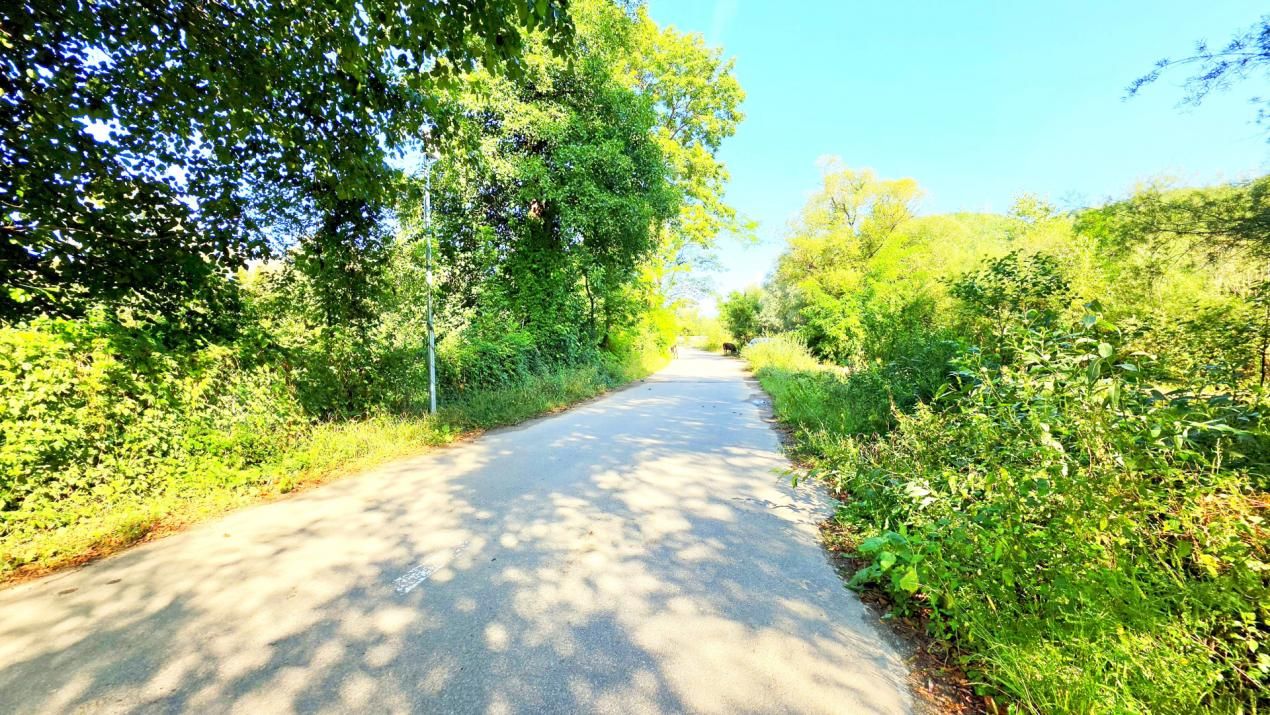 Teren de vânzare în Valea Bradului – fotografia 5 din 16