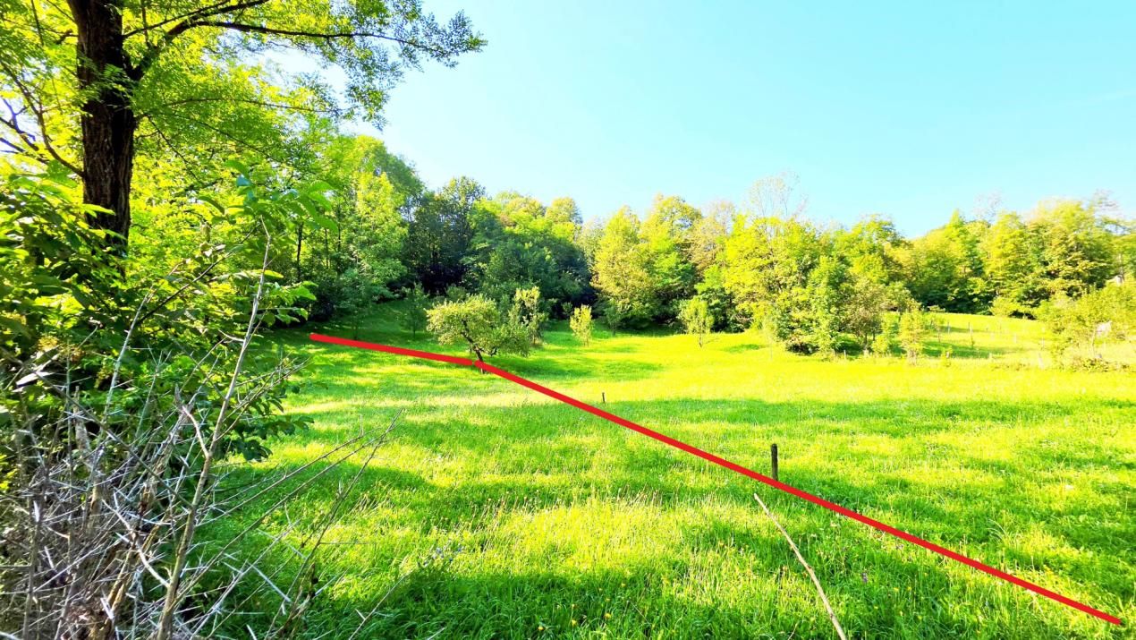 Teren de vânzare în Valea Bradului – fotografia 12 din 16