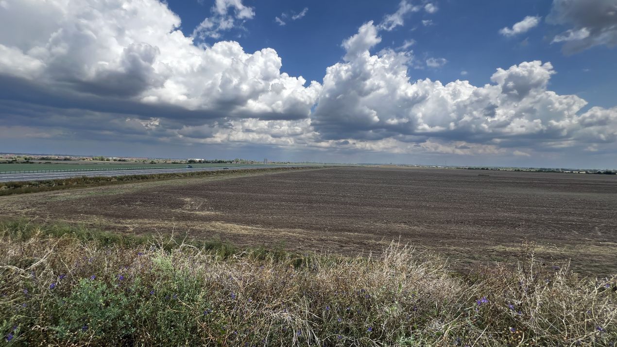 Teren de vânzare în Sud, Balotești – fotografia 7 din 8