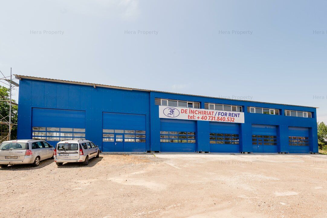 Spațiu industrial de închiriat în Vanatori – fotografia 5 din 26