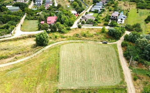 Teren de vânzare în Nord-Vest, Teghes