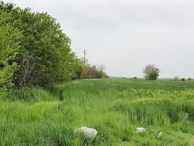 Teren de vânzare în Sud-Est, Vidra – fotografia 3 din 7