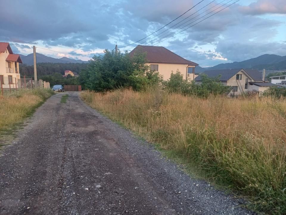 Teren de vânzare în Tălmaciu – fotografia 12 din 13