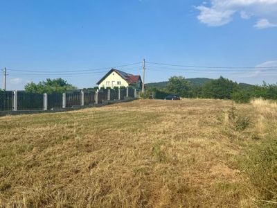 Teren de vânzare în Tălmaciu – fotografia 5 din 13
