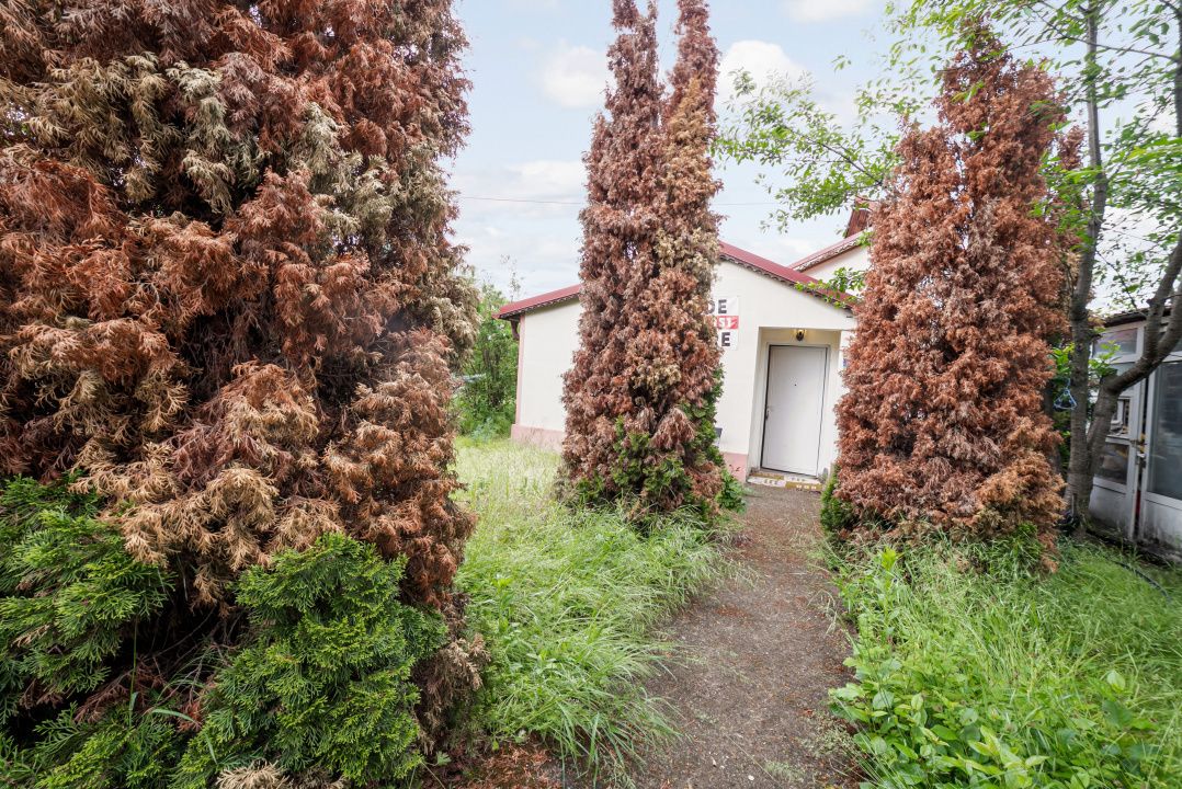 Casă cu 4 camere de vânzare în Grădiștea – fotografia 1 din 13