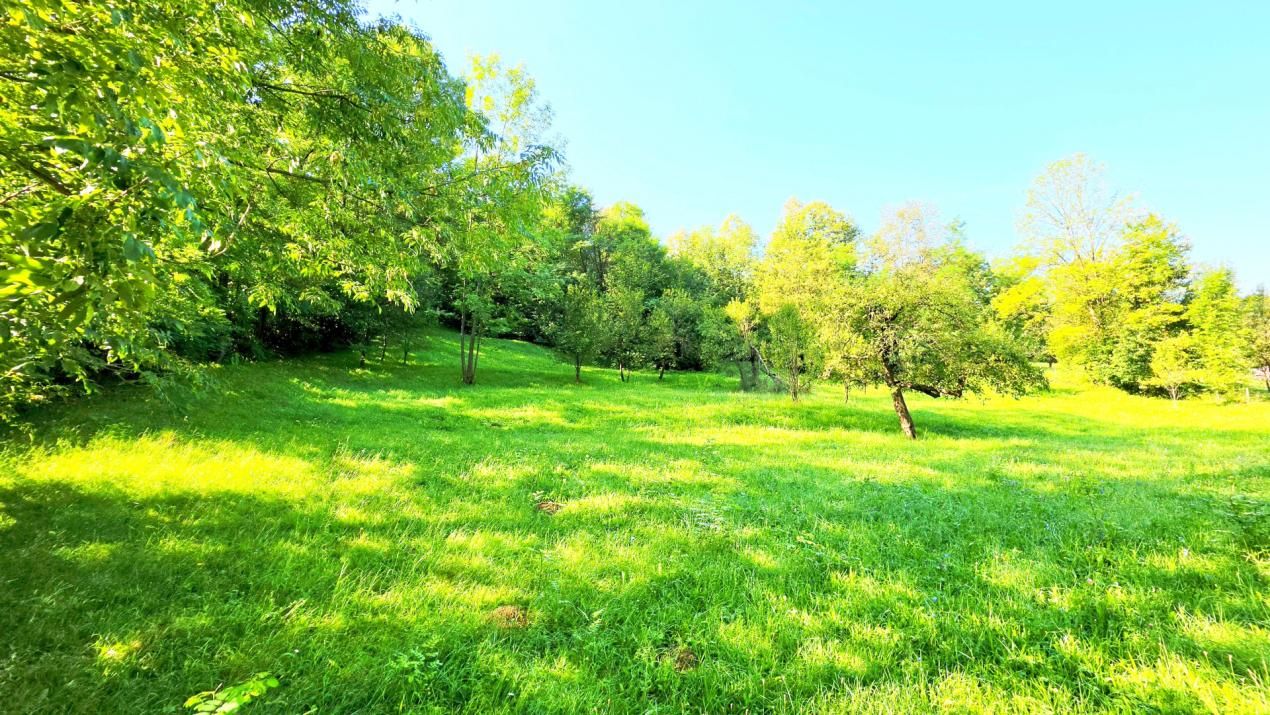 Teren de vânzare în Valea Bradului – fotografia 1 din 16