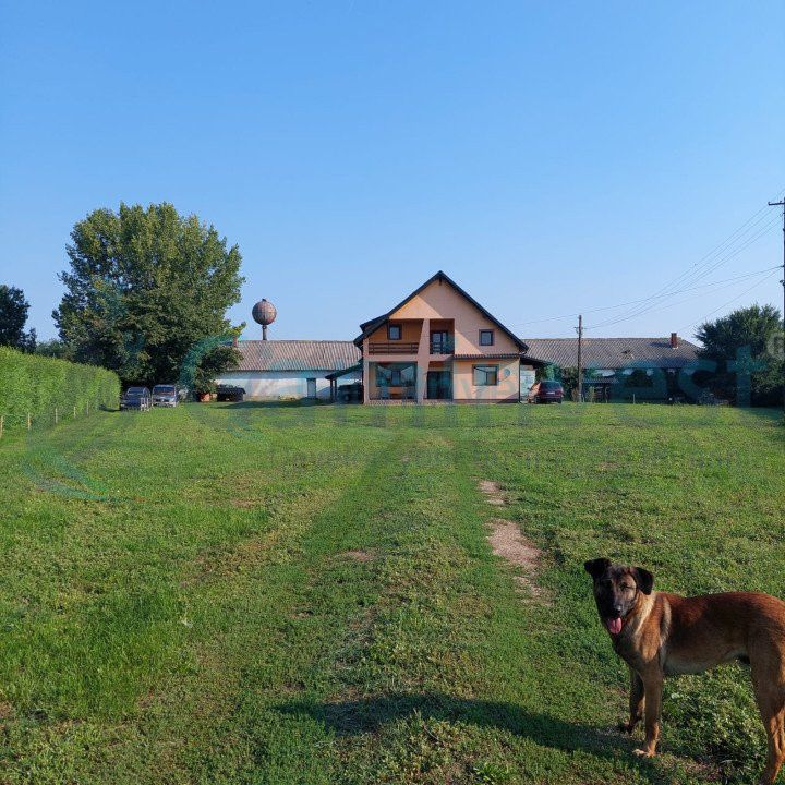 Casă cu 4 camere de vânzare în Valea lui Mihai – fotografia 2 din 10