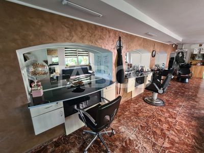 Casă cu 8 camere de vânzare în Sebeș – fotografia 5 din 20