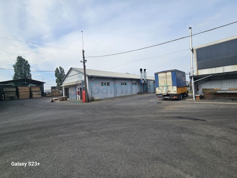 Spațiu industrial de vânzare în Bors – fotografia 6 din 19