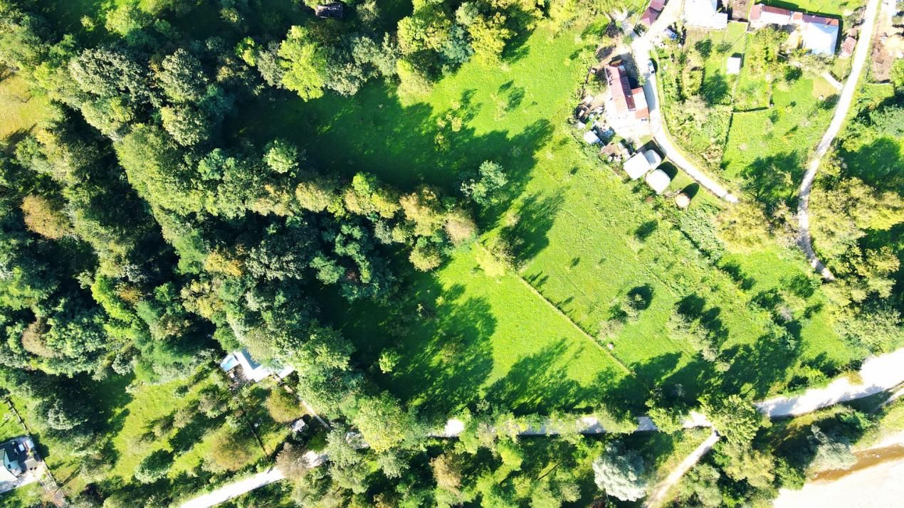 Teren de vânzare în Valea Bradului – fotografia 3 din 16