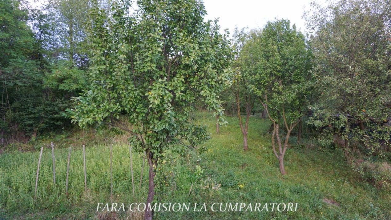 Casă cu 4 camere de vânzare în Sud, Băile Olănești – fotografia 20 din 24