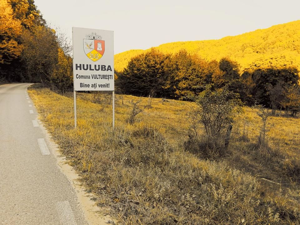 Teren de vânzare în Nord-Est, Vulturesti – fotografia 2 din 12
