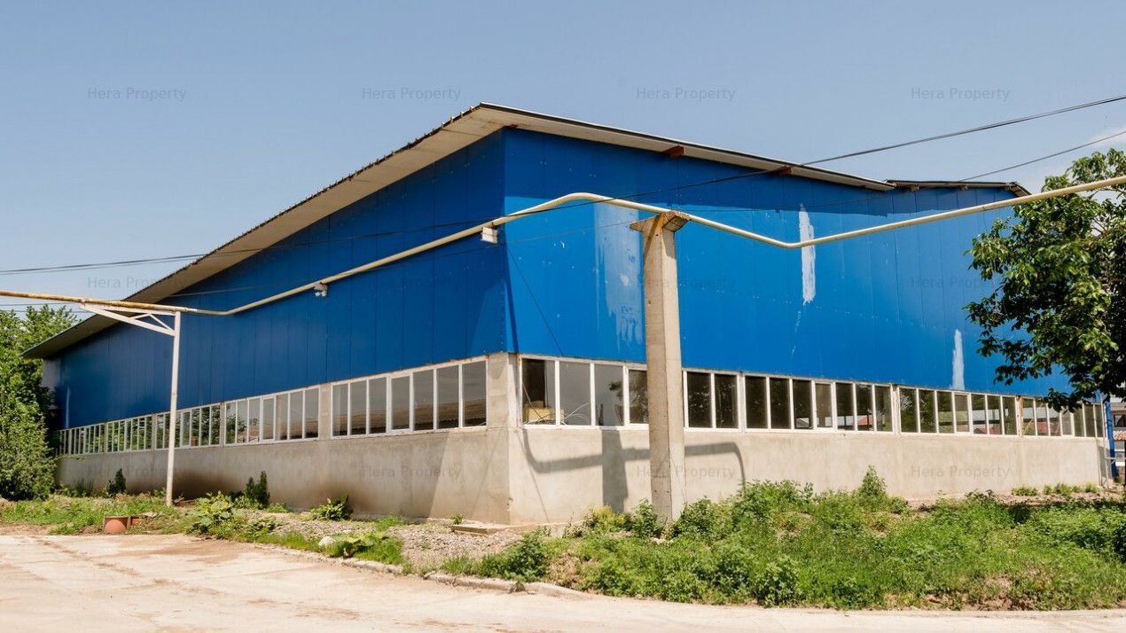 Spațiu industrial de închiriat în Vanatori – fotografia 6 din 26