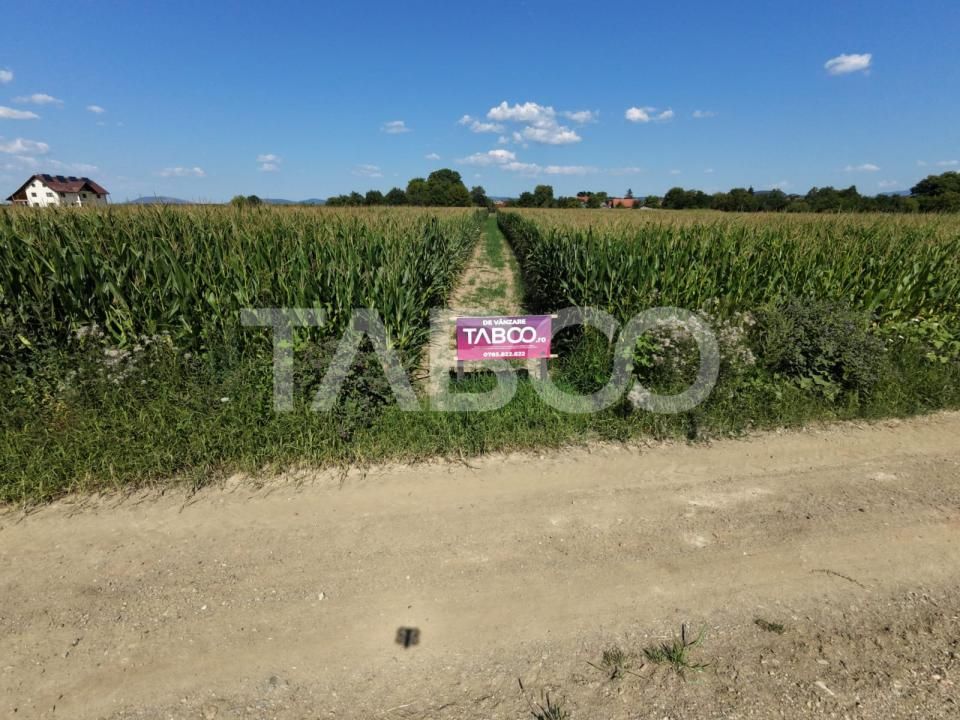 Teren de vânzare în Vad – fotografia 4 din 6
