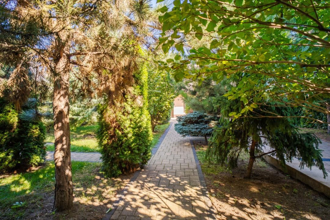 Spațiu comercial cu 10 camere de vânzare în Tătărași, Iași – fotografia 20 din 20