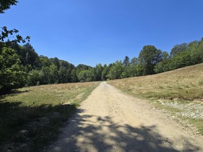 Teren de vânzare în Central, Poiana Marului – fotografia 2 din 9