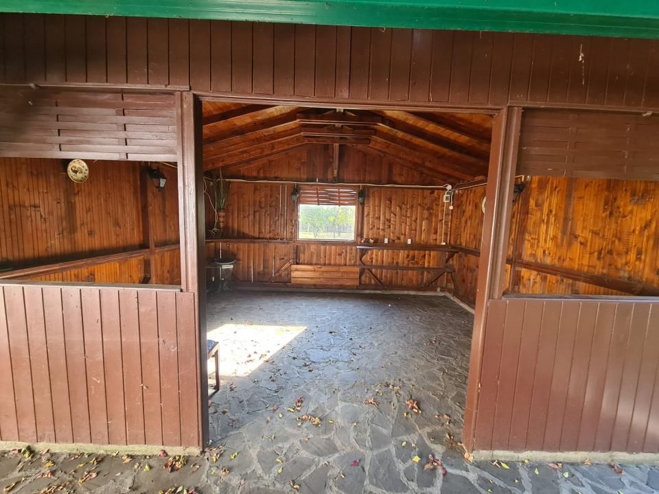 Casă cu 7 camere de vânzare în Sud, Câmpina – fotografia 18 din 24