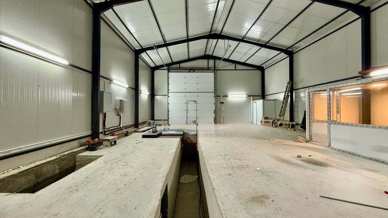 Spațiu industrial cu 3 camere de închiriat în Ovidiu – fotografia 5 din 15