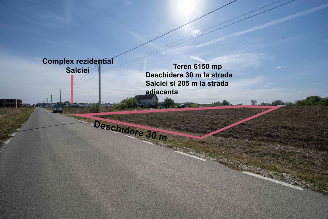 Teren de vânzare în Domnești – fotografia 2 din 11