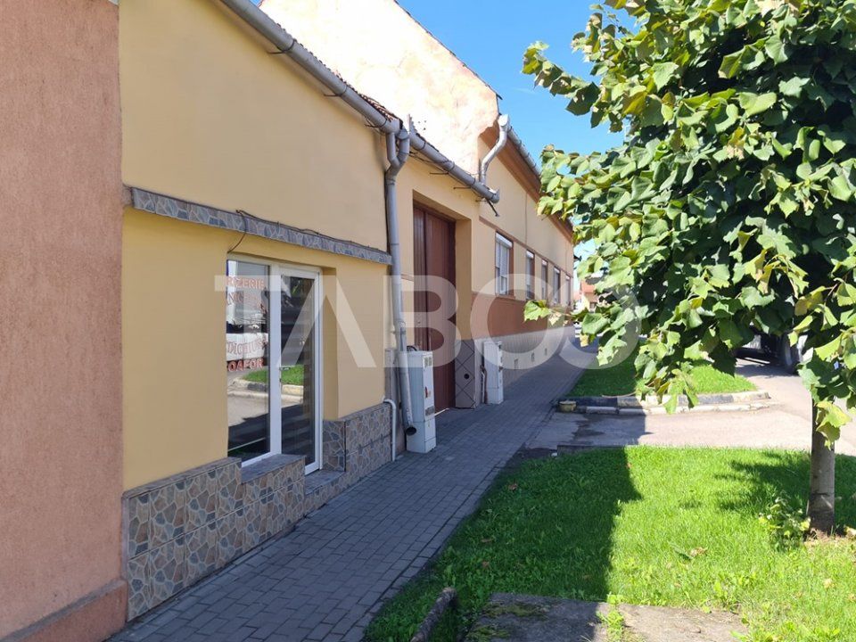Casă cu 8 camere de vânzare în Sebeș – fotografia 2 din 20