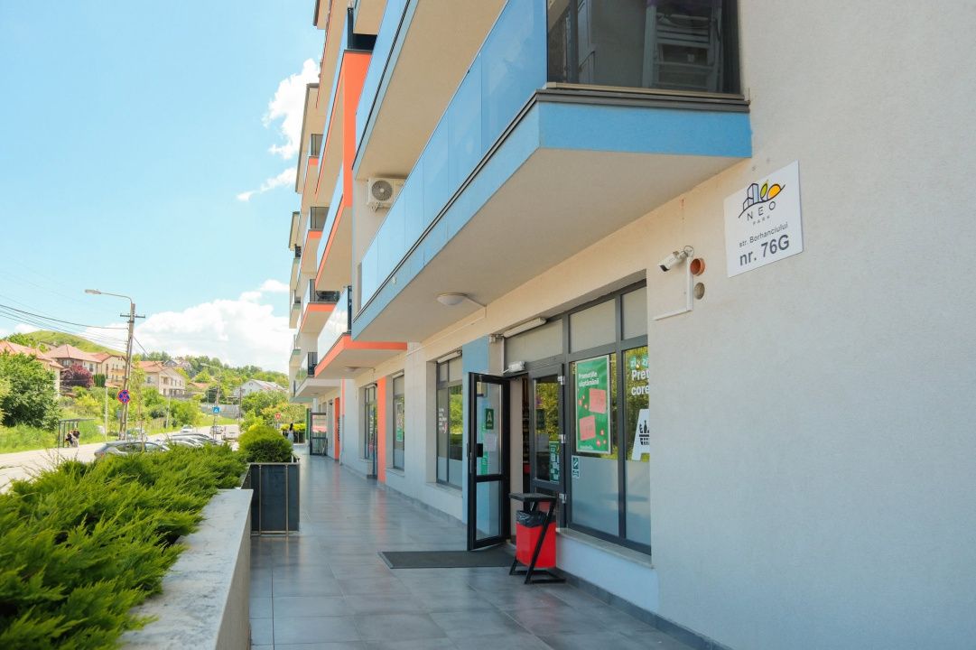 Apartament cu 1 cameră de închiriat în Borhanci, Cluj-Napoca – fotografia 13 din 17