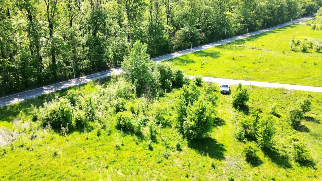 Teren de vânzare în Băneasa, București – fotografia 6 din 43