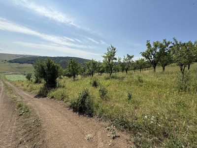 Teren de vânzare în Sud, Dezmir – fotografia 4 din 11
