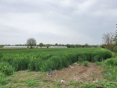 Teren de vânzare în Sud-Est, Vidra – fotografia 4 din 7
