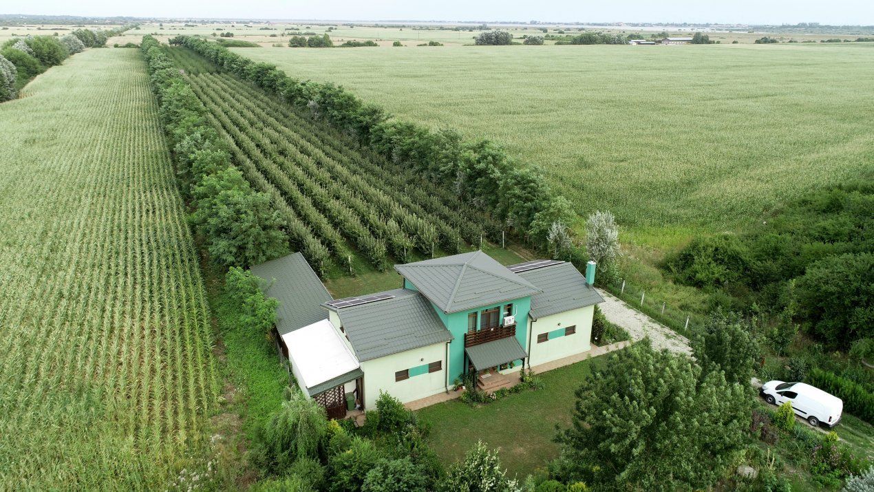 Casă cu 5 camere de vânzare în Clinceni – fotografia 3 din 31