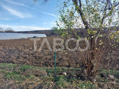 Teren de vânzare în Cisnădie – fotografia 3 din 7