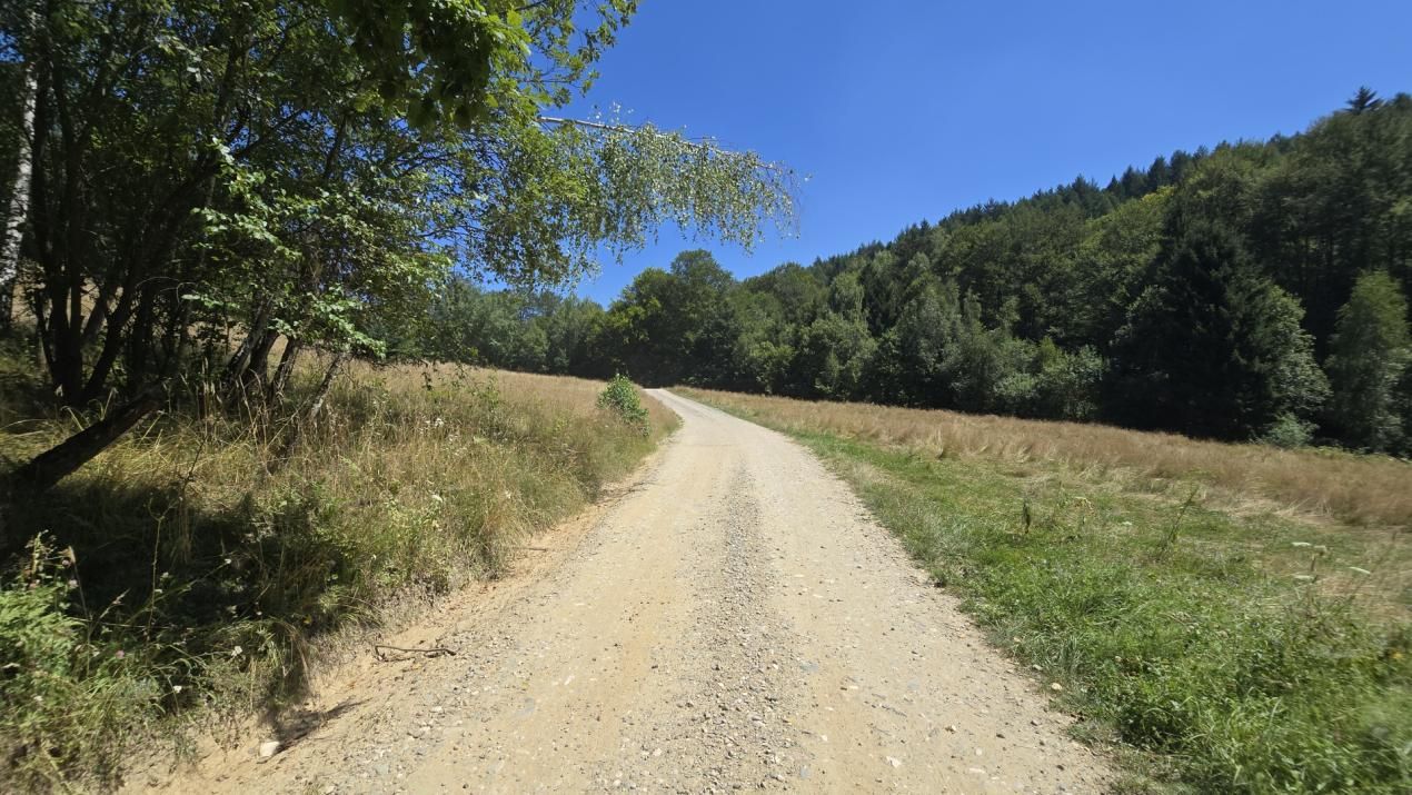 Teren de vânzare în Central, Poiana Marului – fotografia 6 din 9