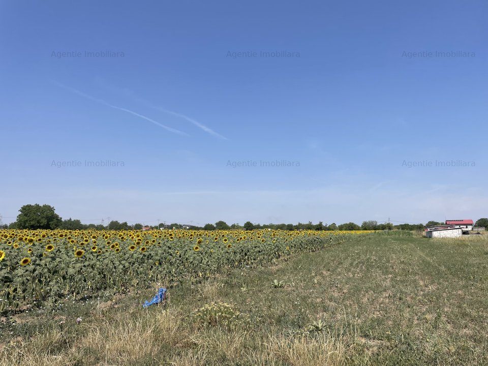 Teren de vânzare în Frumusani – fotografia 5 din 6