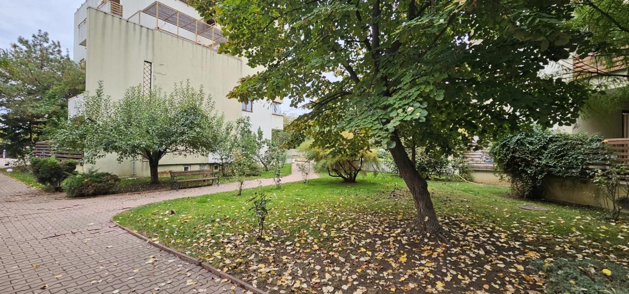 Apartament cu 3 camere de închiriat în Straulesti, București – fotografia 35 din 51