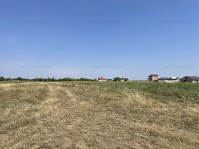 Teren de vânzare în Frumusani – fotografia 4 din 6